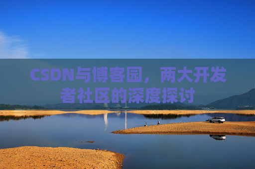 CSDN与博客园，两大开发者社区的深度探讨